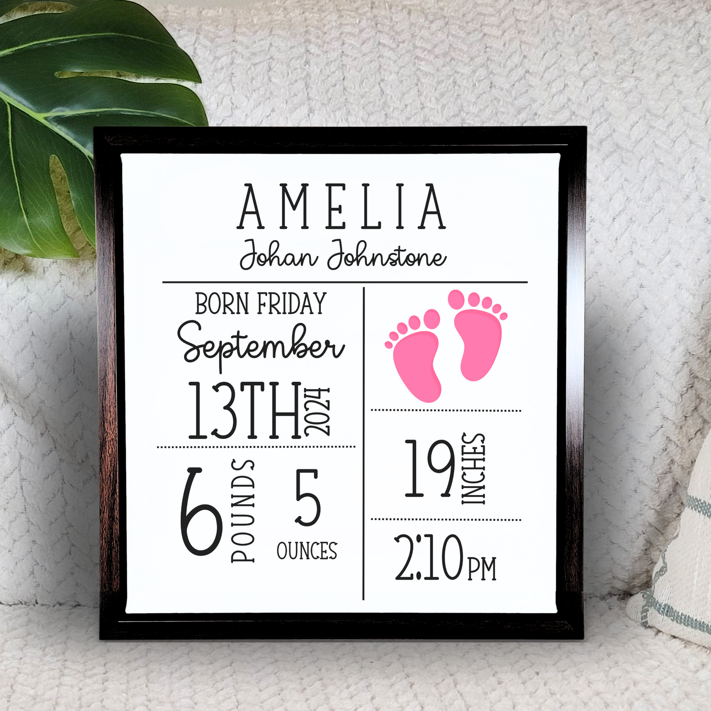 Personalized Baby Birth Stats Canvas – A Cherished Keepsake